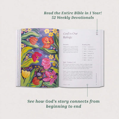 Bible In A Year: 52-Week Study
